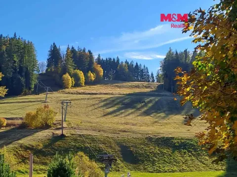 Prodej pole, Stará Ves, 8308 m2
