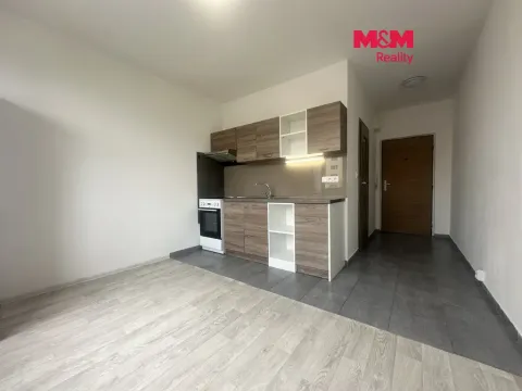 Pronájem bytu 1+1, Chomutov, Písečná, 36 m2