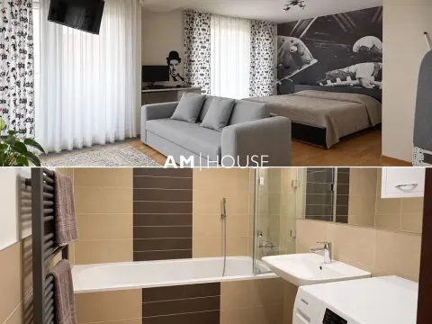 Pronájem bytu 1+kk, Praha - Podolí, K sídlišti, 45 m2