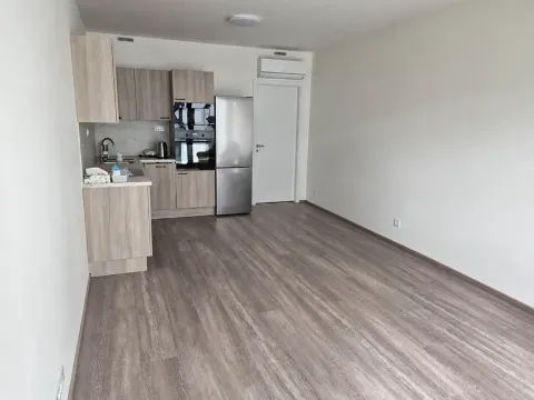 Pronájem bytu 3+kk, Praha - Žižkov, Malešická, 71 m2